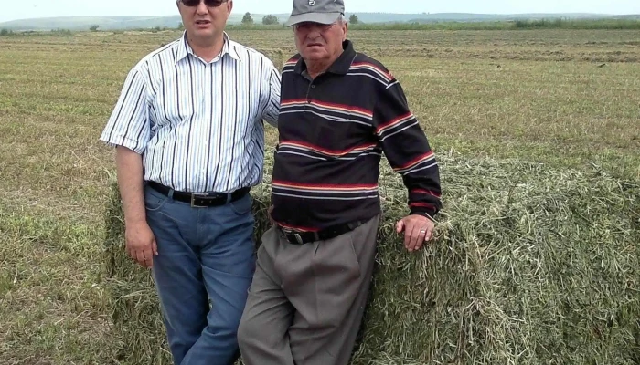 Sc Gut Srl Fotografii - Călărași