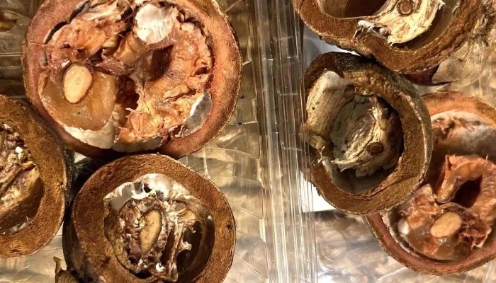 Sc Microfruits Sa - Brănești