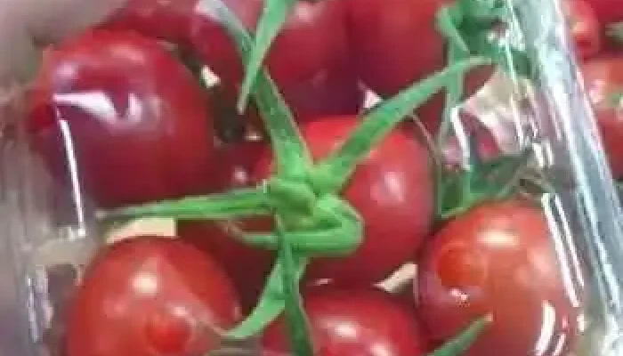 Sc Microfruits Sa -  De La Proprietar - Brănești
