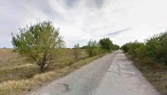 Sc Microfruits Sa -  Street View Si 360deg - Brănești