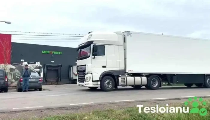 Sc Microfruits Sa -  Videoclipuri - Brănești