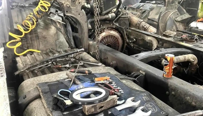 Sc Mmi auto trade srl - Bucşani 087020