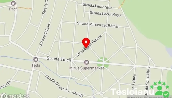 hartă a S.C. Novo Comexim S.R.L. Lăcătuș în Salonta