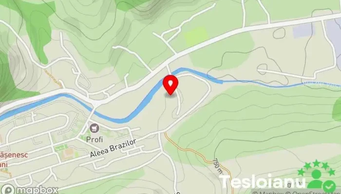 hartă a SC Puica Service Auto Mecanic auto în Uricani