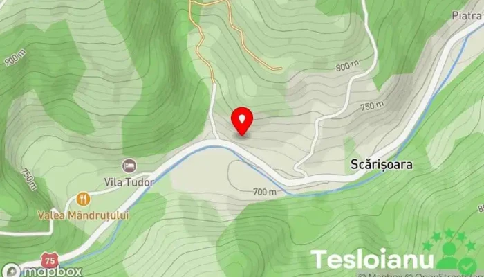 hartă a Scărișoara  în Scărișoara