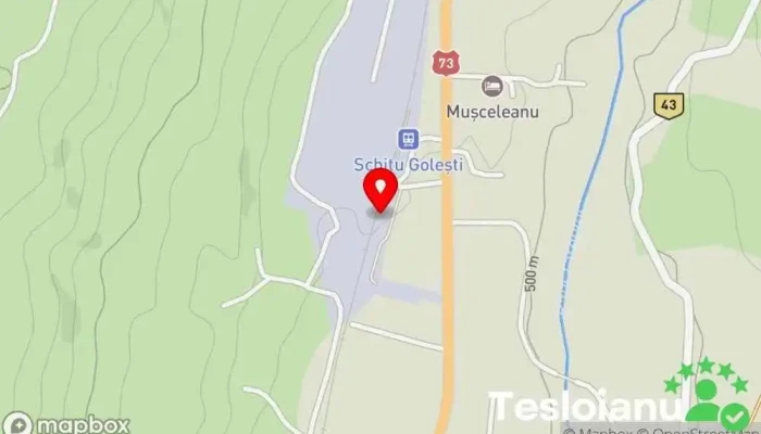 hartă a SCHITU GOLESTI Gară în Schitu Golești