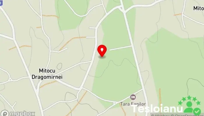 hartă a Scoala Gimnaziala Mitocu Dragomirnei Școală în Mitocu Dragomirnei