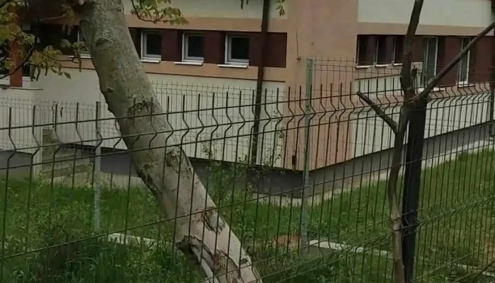 Scoala Speciala Videoclipuri - Șimleu Silvaniei