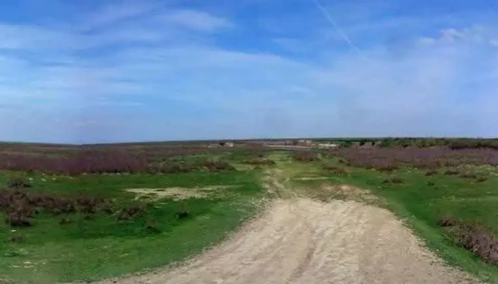 Scortaru Nou Aproape De Mine - Scorțaru Nou