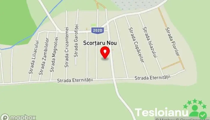 hartă a Scorțaru Nou  în Scorțaru Nou