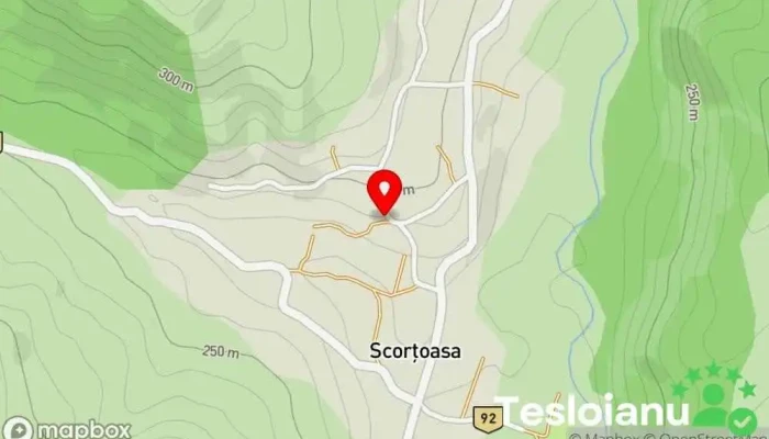 hartă a Scorțoasa  în Scorțoasa