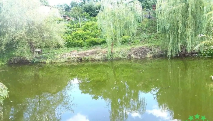 Scorțeni - Scorțeni