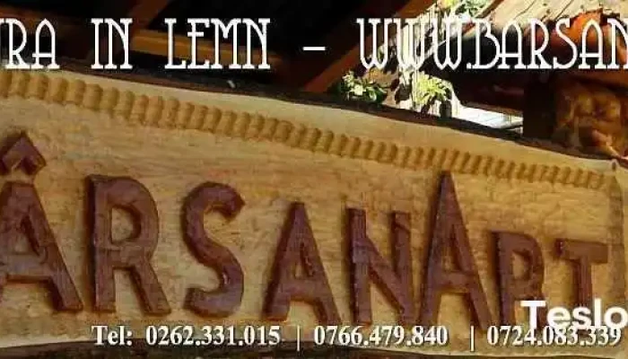 Sculptura Lemn - BarsanART - Bârsana