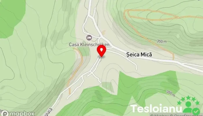 hartă a SEICA MICA 203 Unitate de cazare rurală în Sibiu