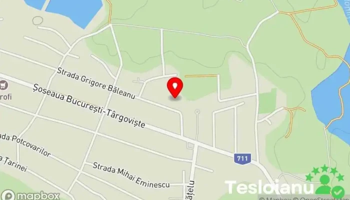 hartă a SEMSAT S.R.L. Companie de cablu în Băleni-Români