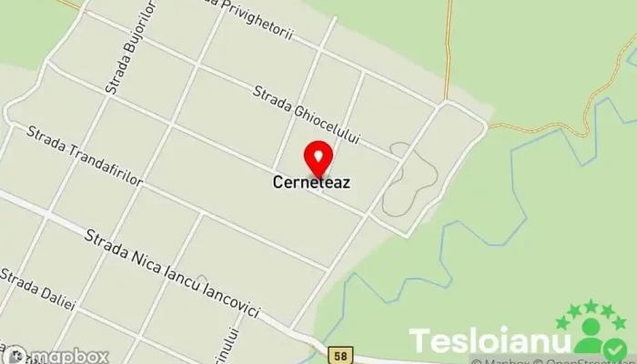 Service Auto Alex Sof - Cerneteaz 307211