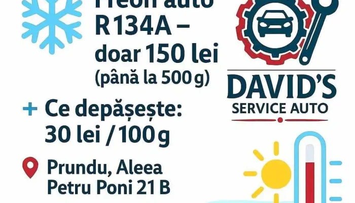 Service Auto David S Pitesti Cele Mai Recente - Pitești