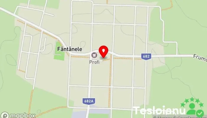 Service Auto Diu Trans - Fântânele 317120