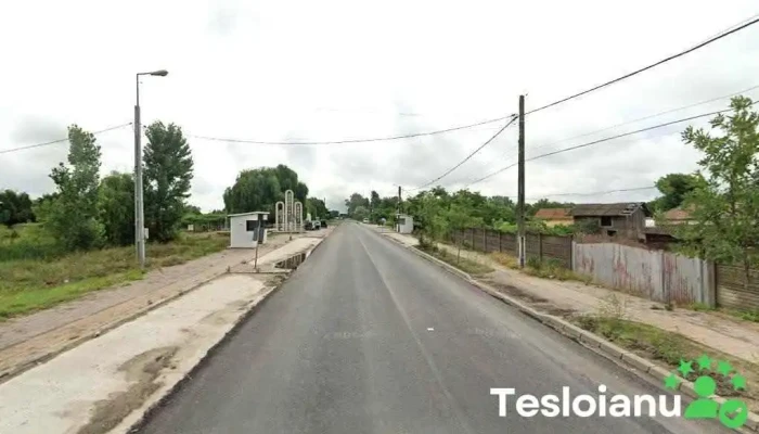 Service auto - Dăbuleni