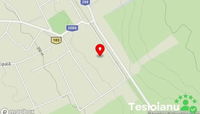 hartă a Service Auto Atelier de reparații auto, Mecanic în Hălăucești