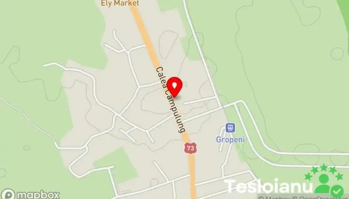 hartă a Service Auto Service auto în Mărăcineni