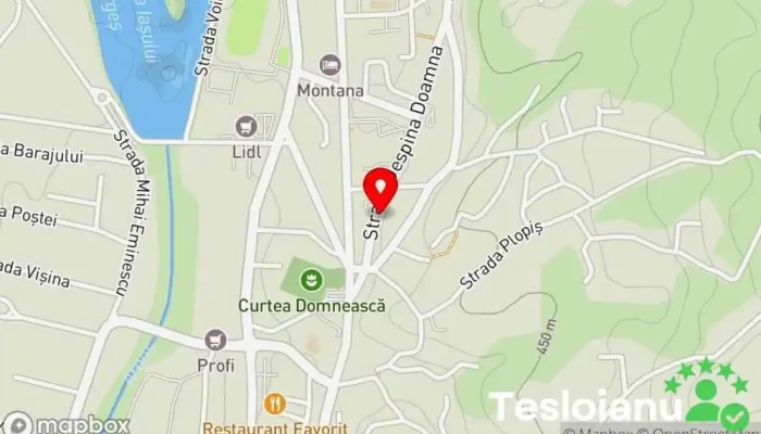 hartă a Service Auto La Mădă Service auto, Atelier de reparații auto în Curtea de Argeș