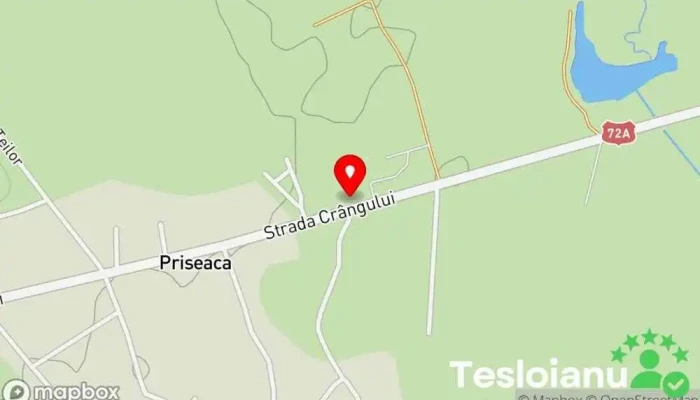 hartă a SERVICE AUTO SC PRISEACA SERV SRL Service auto în Târgoviște