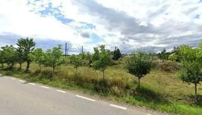 Service Auto -  Street View Si 360deg - Hălăucești