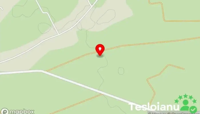 Service Auto Volkswagen & Bmw - Horodnic De Sus