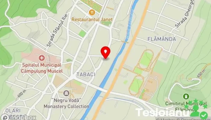 hartă a SERVICE Dandu Auto Stil Service auto în Câmpulung