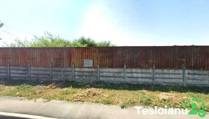 Servicii Auto - Galați 800552
