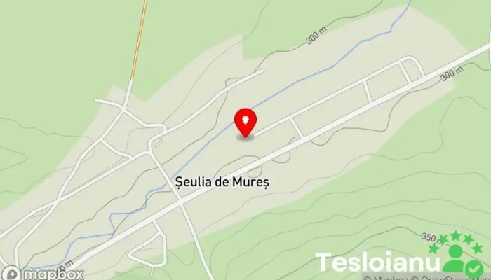 hartă a Şeulia de Mureş  în Şeulia de Mureş