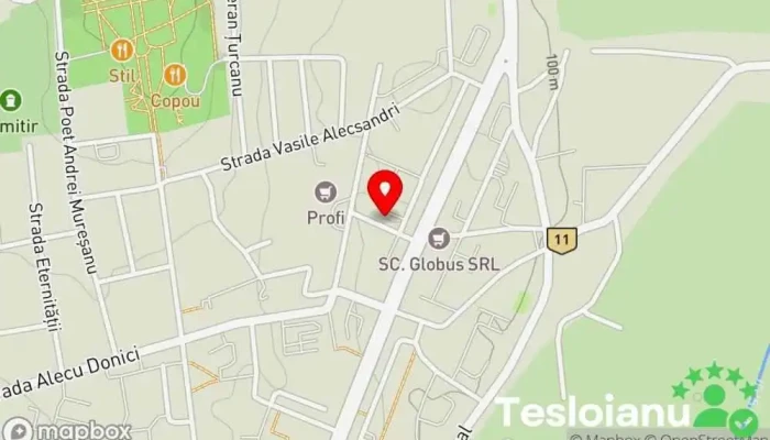 Showroom Celesta - Strada Walter Mărăcineanu 103
