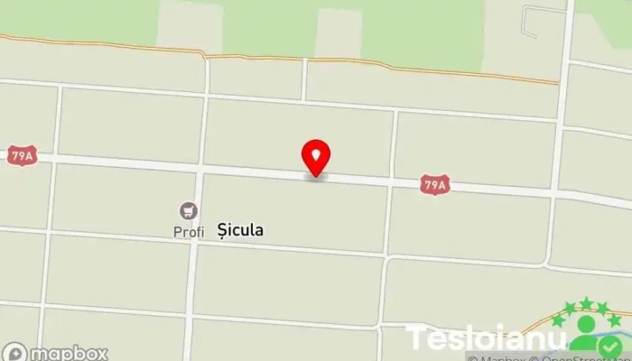 hartă a Șicula  în Șicula