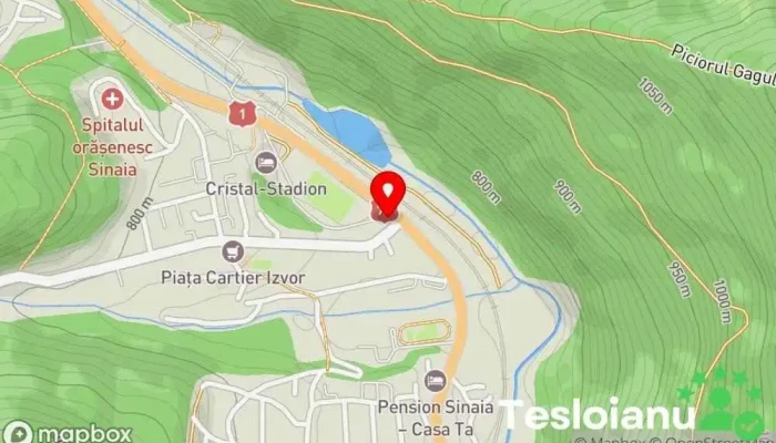 hartă a Sinaia  în Sinaia