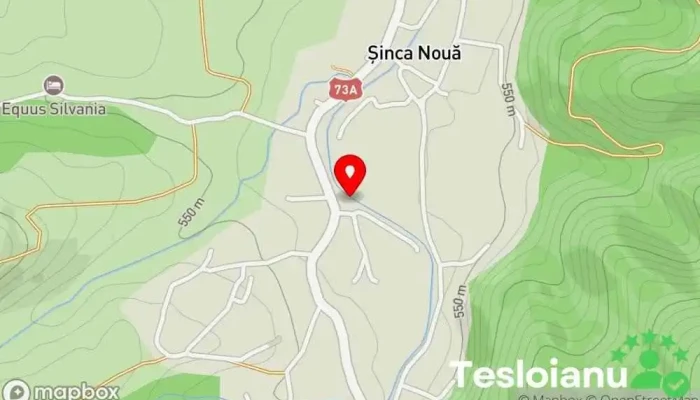 hartă a Șinca Nouă  în Șinca Nouă