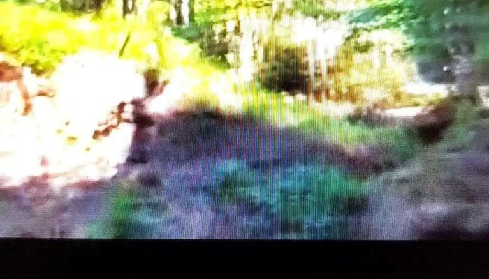 Sinca Veche Videoclipuri - Șinca Veche