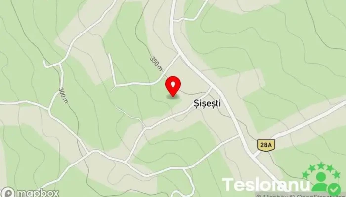 hartă a Șișești  în Șișești