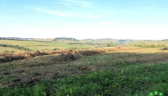 Soars Program - Șoarș