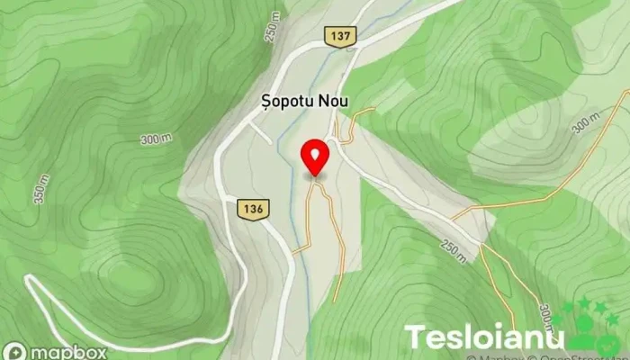 hartă a Șopotu Nou  în Șopotu Nou