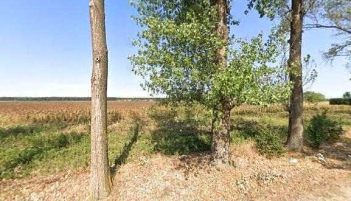 Soseaua Petrachioaia -  Reduceri - Romania