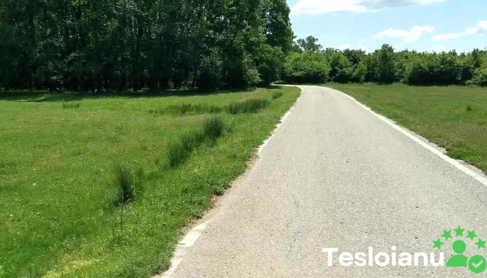 Sotanga Videoclipuri - Șotânga
