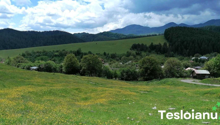 Soveja -  Zonă - Soveja