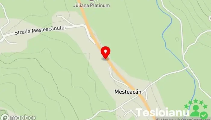 hartă a Spartacus Autoservice Service auto în Mesteacăn