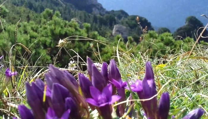 Statia Meteorologica Ceahlau Toaca Număr - Romania