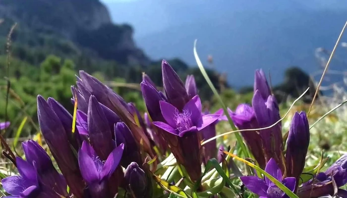 Statia Meteorologica Ceahlau Toaca Promoție - Romania