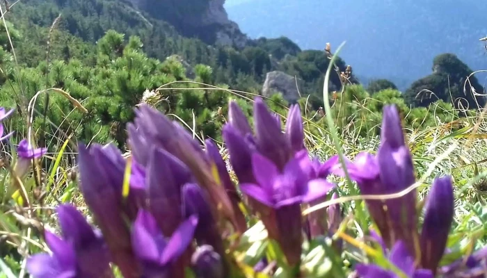 Statia Meteorologica Ceahlau Toaca Zonă - Romania