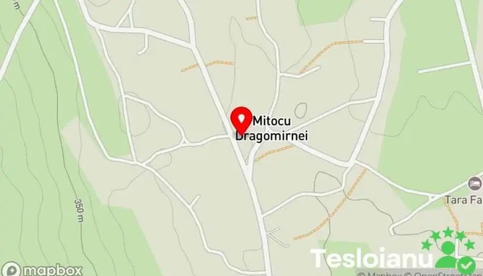hartă a statie Mitocu Dragomirnei Companie de transport cu autobuzul în Mitocu Dragomirnei