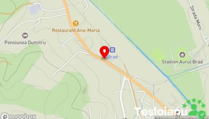hartă a Statie Mocanita Brad Muzeu în Brad