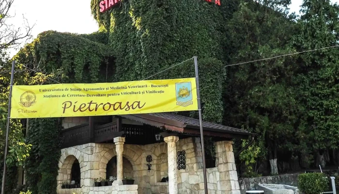 Statiunea De Cercetare Si Dezvoltare Pentru Viticultura Si Vinificatie Pietroasa Număr - Pietroasele